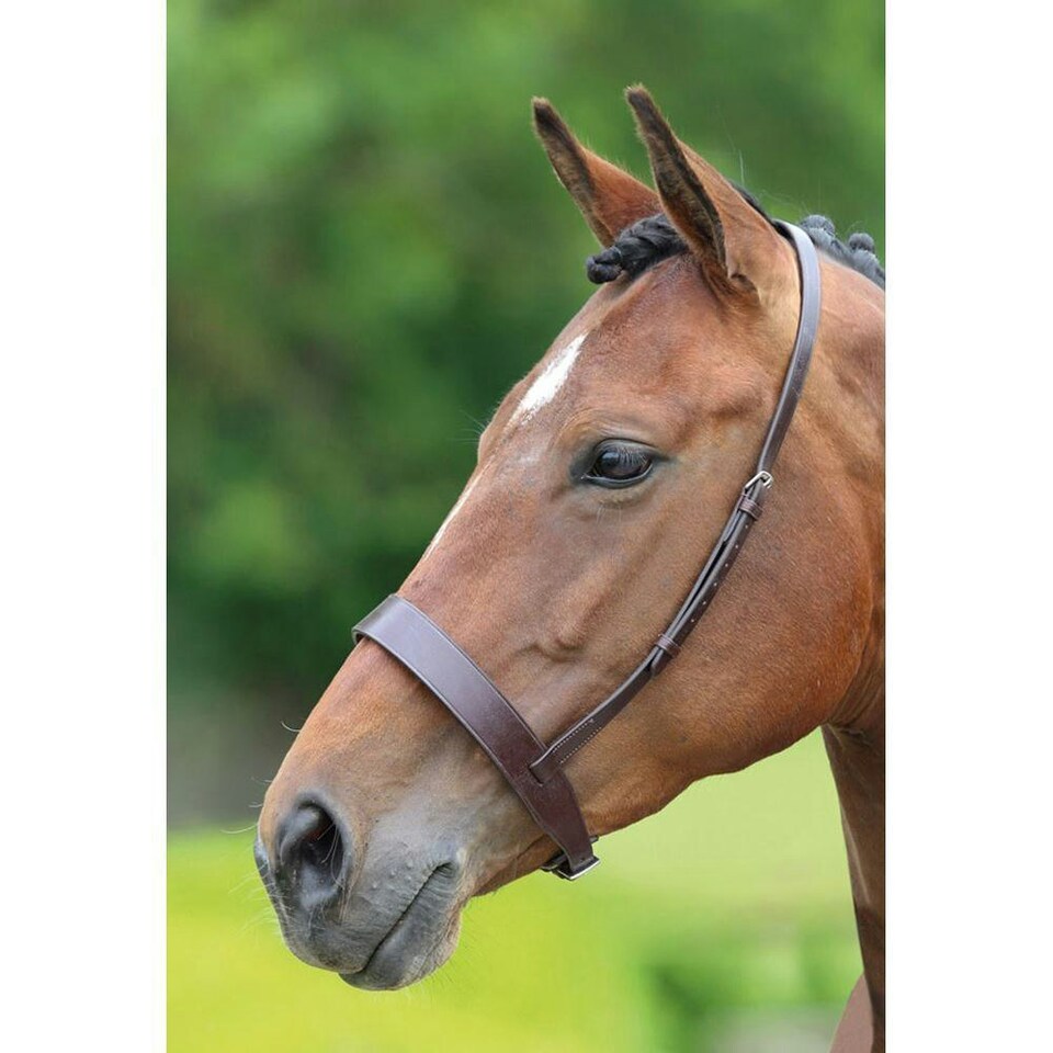 image 1 of Velociti Hunter Leather Horse Cavesson Noseband - Havana - Pony