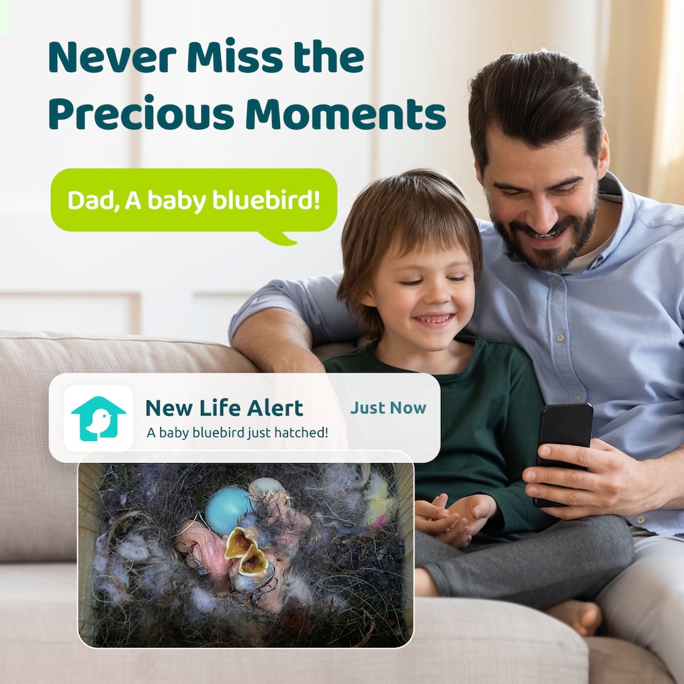 image 1 of BIRDFY EBONY LITE SMART BIRD HOUSE