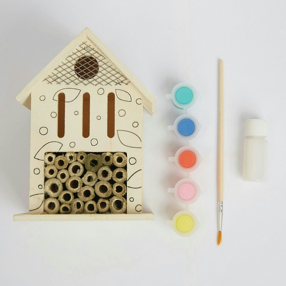 image 1 of RHS Paint Your Own Set With 5 Paints, Brush, Varnish & Instructions, White