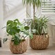 image 2 of Set of 2 Water Hyacinth Basket Planters N/A