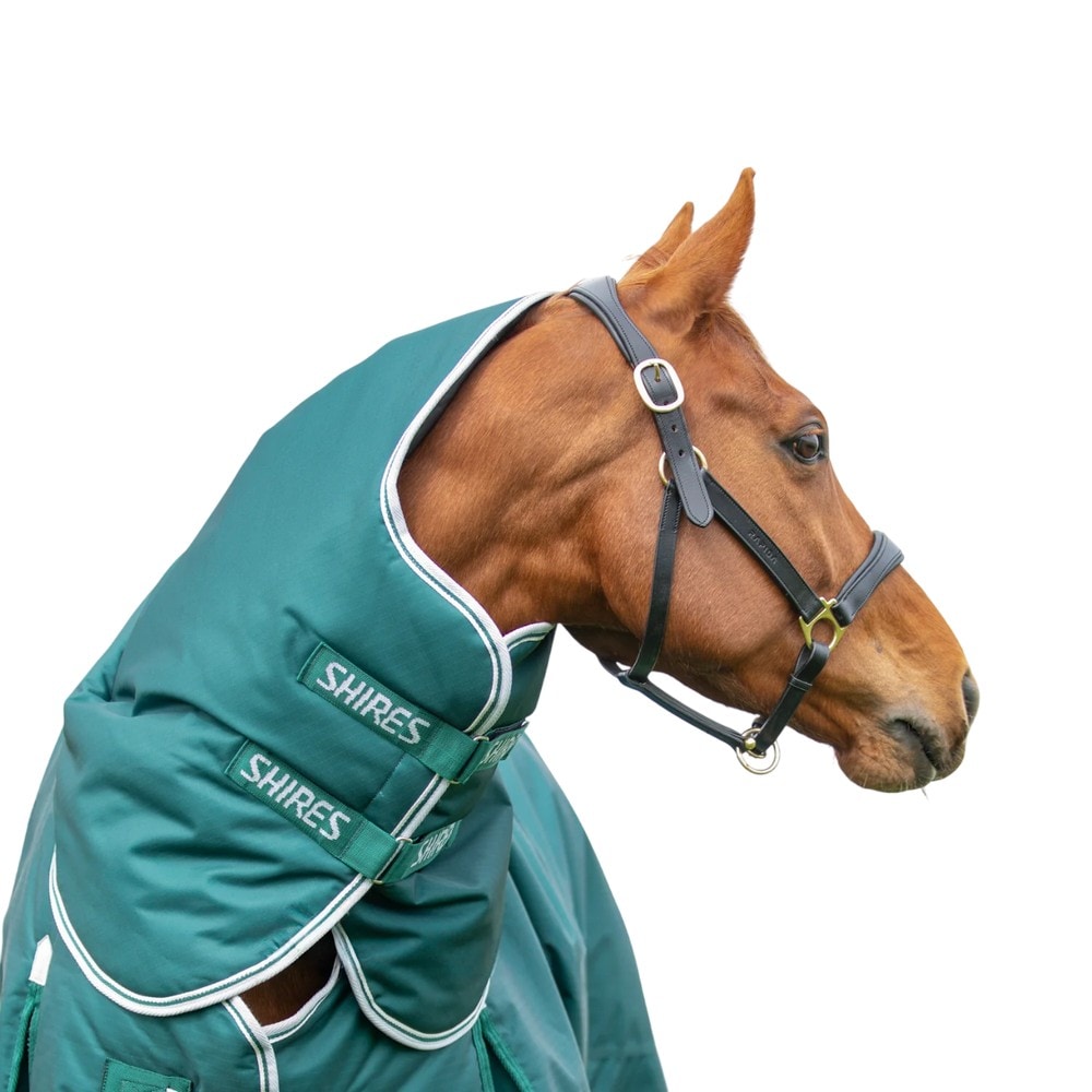 Shires Highlander Original 300 Horse Turnout Neck Cover Green Green 5Ft 1