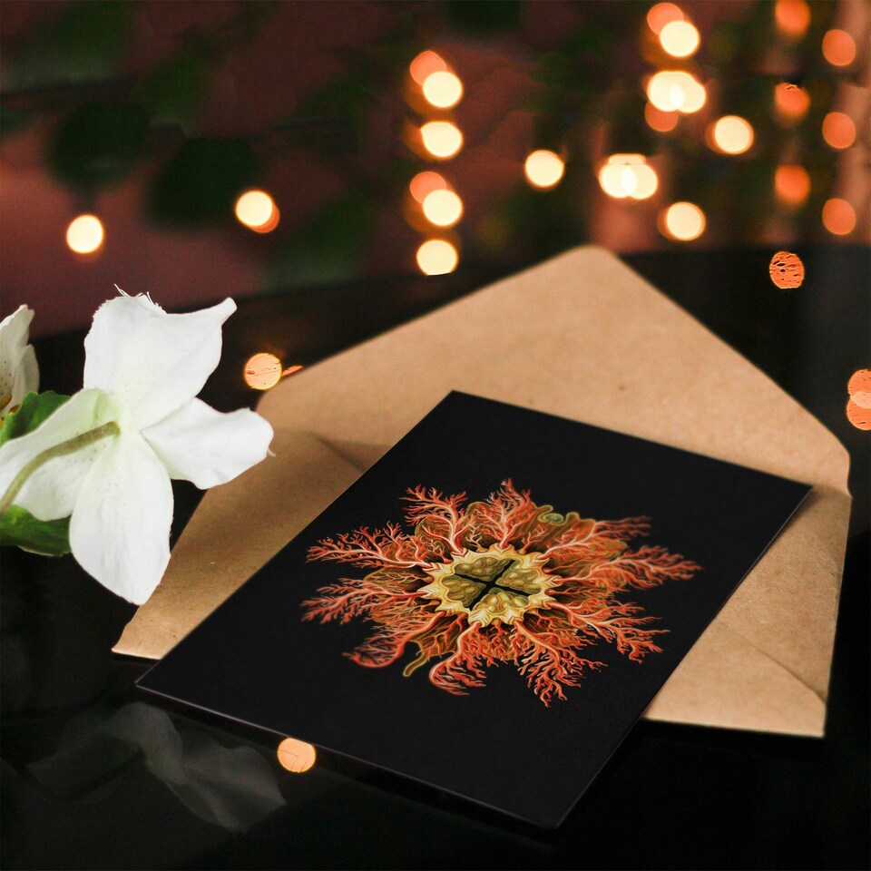 image 1 of Ernst Haeckel Art Card Tunicate Marine Animal on Black