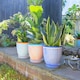 image 7 of Nicola Spring Hand Printed Plant Pot with Saucer - 22cm - Navy Blue