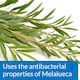 image 4 of 473ml API Pond Melafix Natural Botanical Treatment for Bacterial Infections in Pond Fish Pond Water Treatment