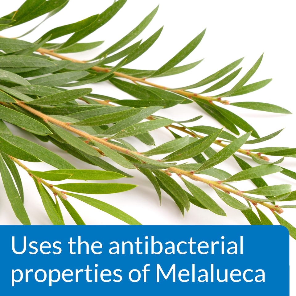 image 1 of 473ml API Pond Melafix Natural Botanical Treatment for Bacterial Infections in Pond Fish Pond Water Treatment