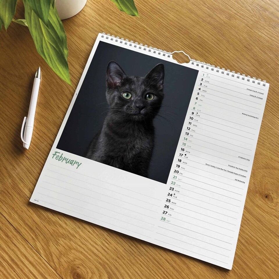 image 1 of Cats Wiro Wall Calendar 2026