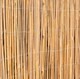 image 1 of Bamboo Cane Screening Roll Natural Fencing 3.0m x 2.0m | Brown | Brown