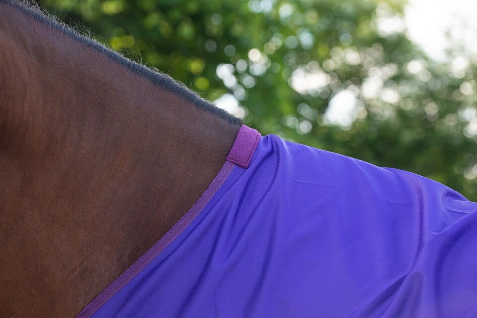 image 1 of eQuitack 600D Waterproof Horse Turnout Rug 100g Fill Standard Neck Purple/Plum 6'0''