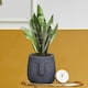 image 9 of Textured Concrete Effect Washed Black Oval Face Planter Indoor L30.5 D29.5 H29.5 cm, 13.9 ltrs Cap.