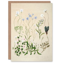 Sarah Featon Art Card New Zealand Perennial Wild Flowers