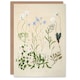 image 1 of Sarah Featon Art Card New Zealand Perennial Wild Flowers