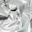 Metallic Silver