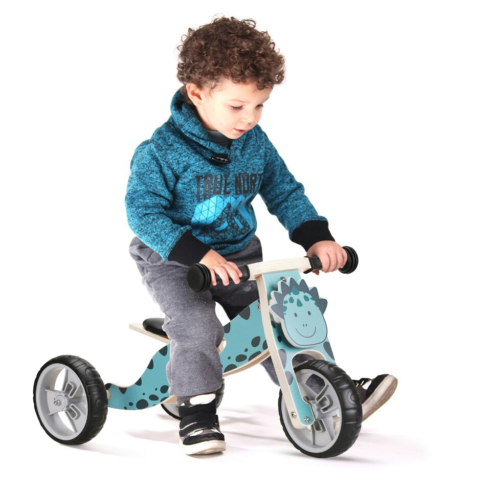 image 1 of Hooga 2-in-1 Balance Bike - Wooden Trike for Kids Blue