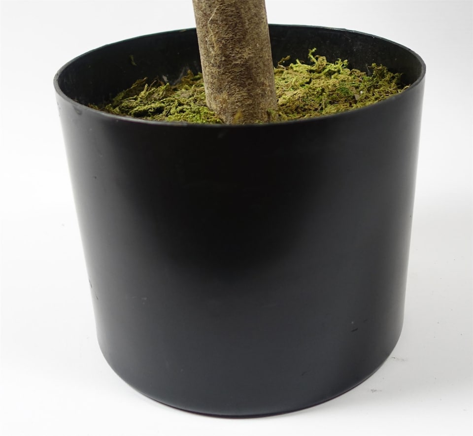 image 1 of Outdoor Artificial Topiary Tree 120cm Buxus Ball Cone UV Resistant Botanik | Green | One Size