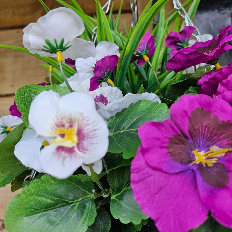 image 1 of Pair of 30cm 10 Inch Purple & White Pansy Flower with Decorative Rattan Hanging Baskets for Indoor Outdoor Garden Use | Purple | Purple & White | 1