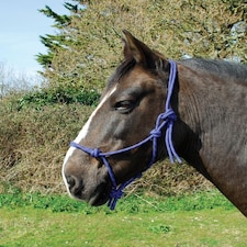 Rhinegold Rope Halter Blue | Size: Pony
Colour: Royal Blue