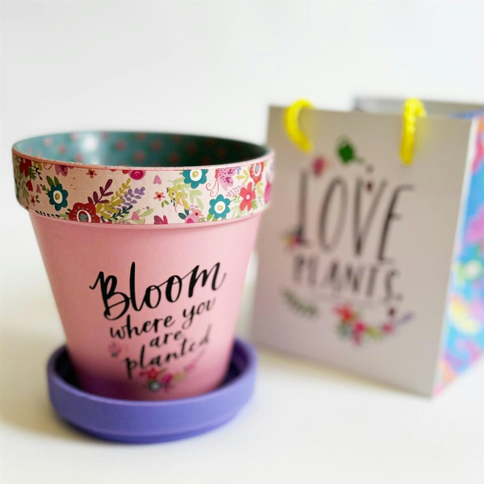 Love Plants Pot Ceramic Growing Garden Bloom Where you Are Planted N/A