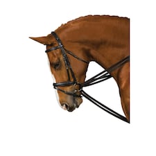 Kincade Web Draw Reins - Black - Full