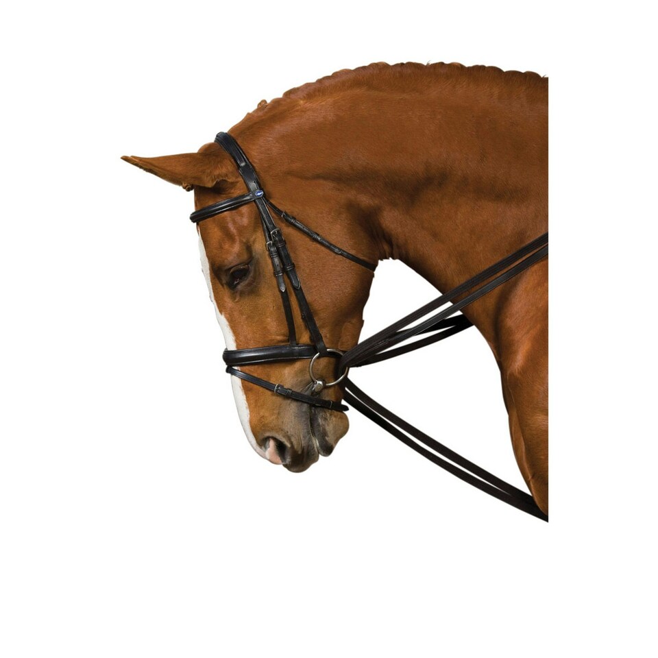 Kincade Web Draw Reins - Black - Full