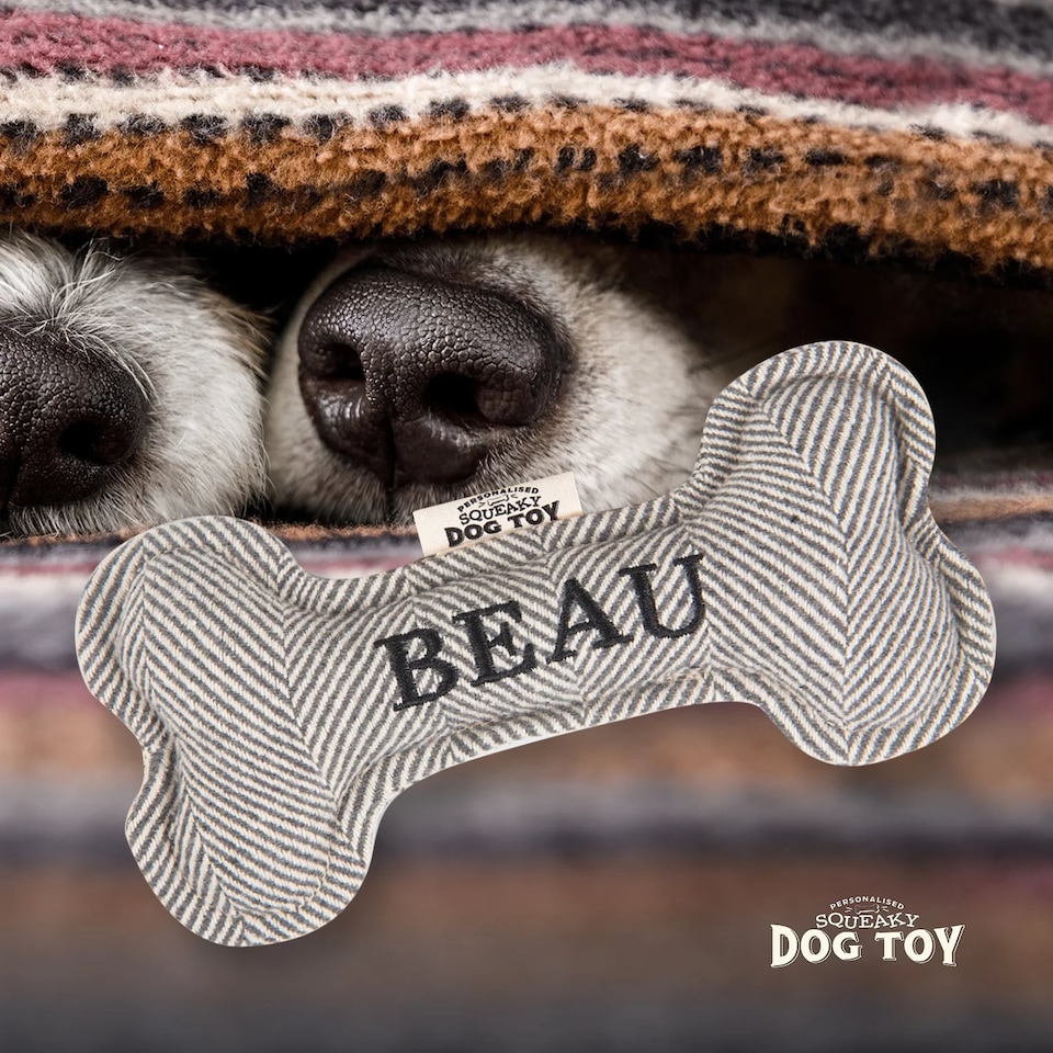 image 1 of History & Heraldry Pre-Personalised Squeaky Bone Dog Toy - Beau