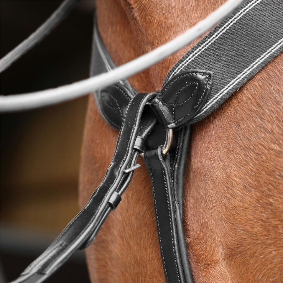 image 1 of Lusso 3 Point Elastic Breastplate Black | Size: Full
Colour: Black