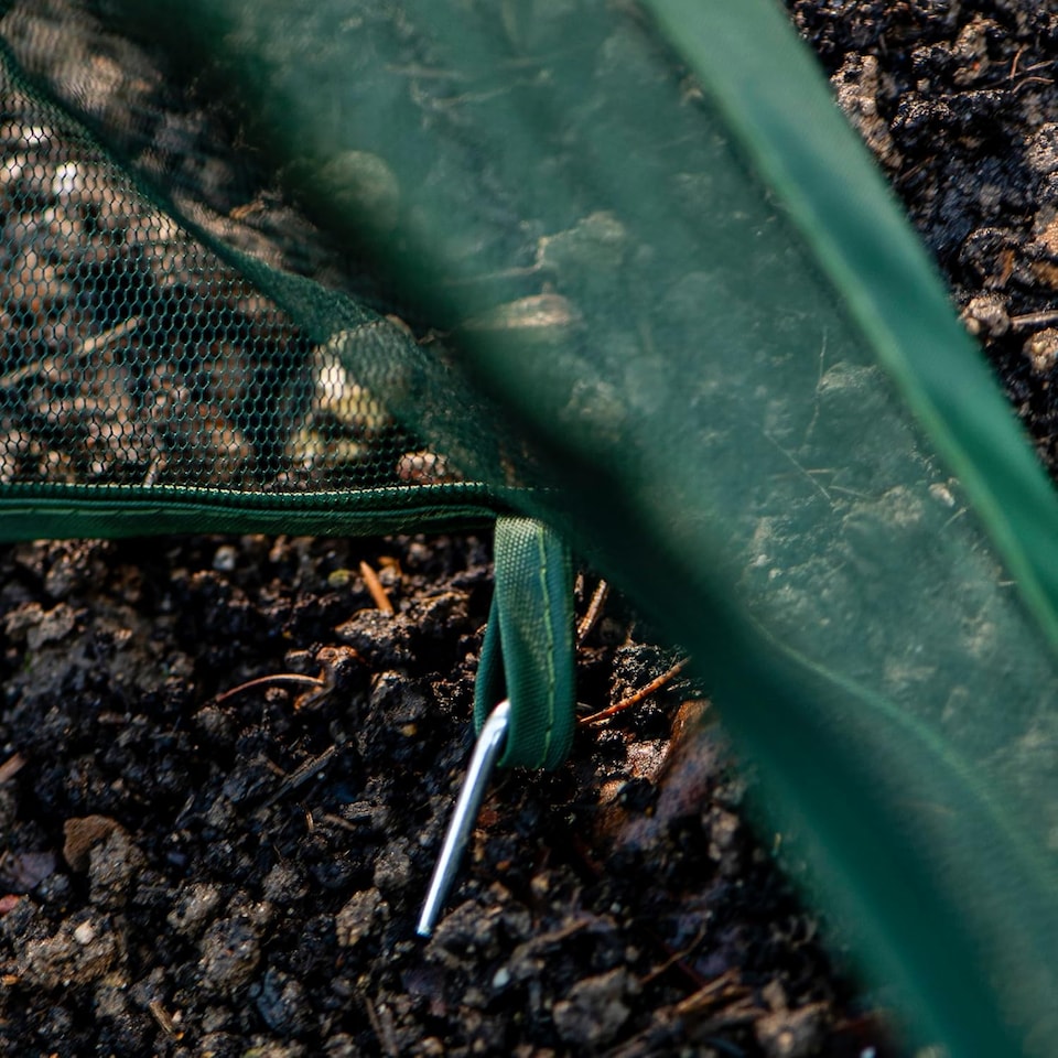 image 1 of Garden Gear Compact Pop-Up Cloche | Clear | 1