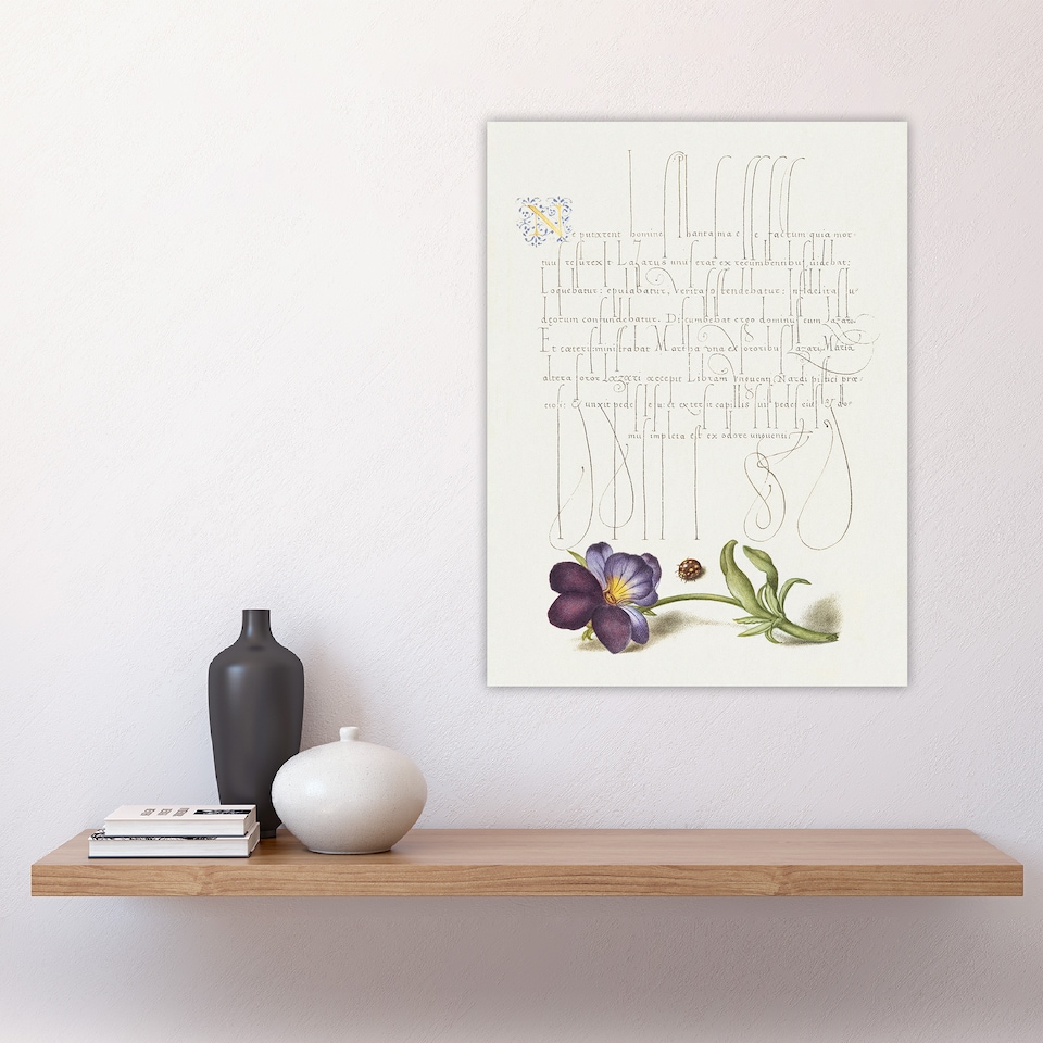 image 1 of Ladybird and Wild Pansy Calligraphy Huge Wall Art Print 18X24 In
