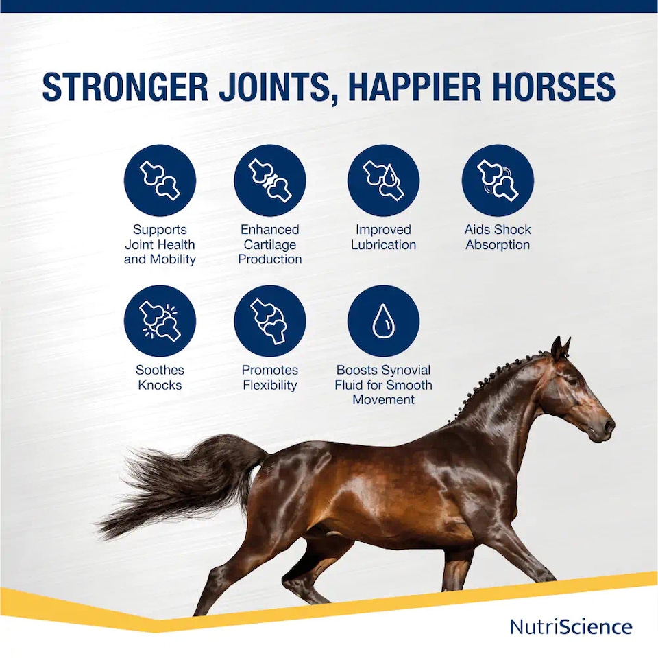 image 1 of NutriScience Horse Joint Supplement Glucosamine MSM Chondroitin Mobility Powder 3kg