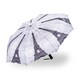 image 1 of StormKing Folding Umbrella Automatic Opening Paris Multi