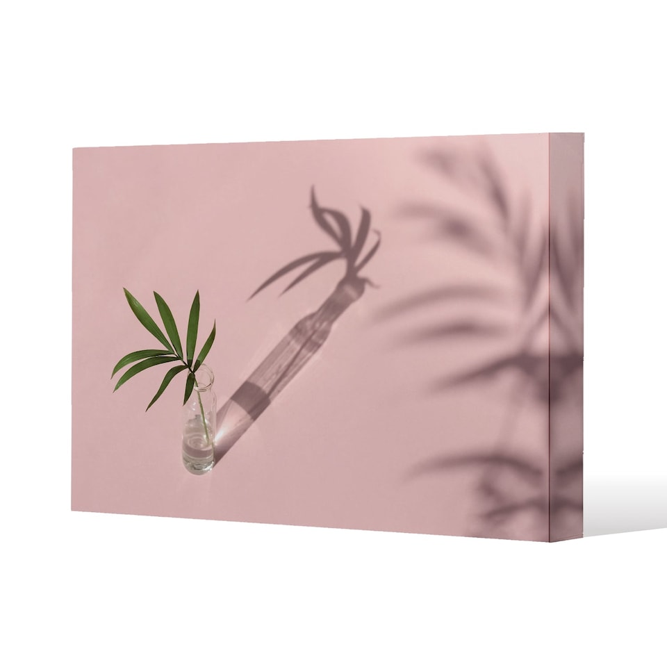 Botanical leaf on pink (Canvas Print) / 61 x 41 x 4cm | Multi