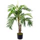 image 1 of Palm 120cm Palm Plants Areca Tree | Green | 4ft