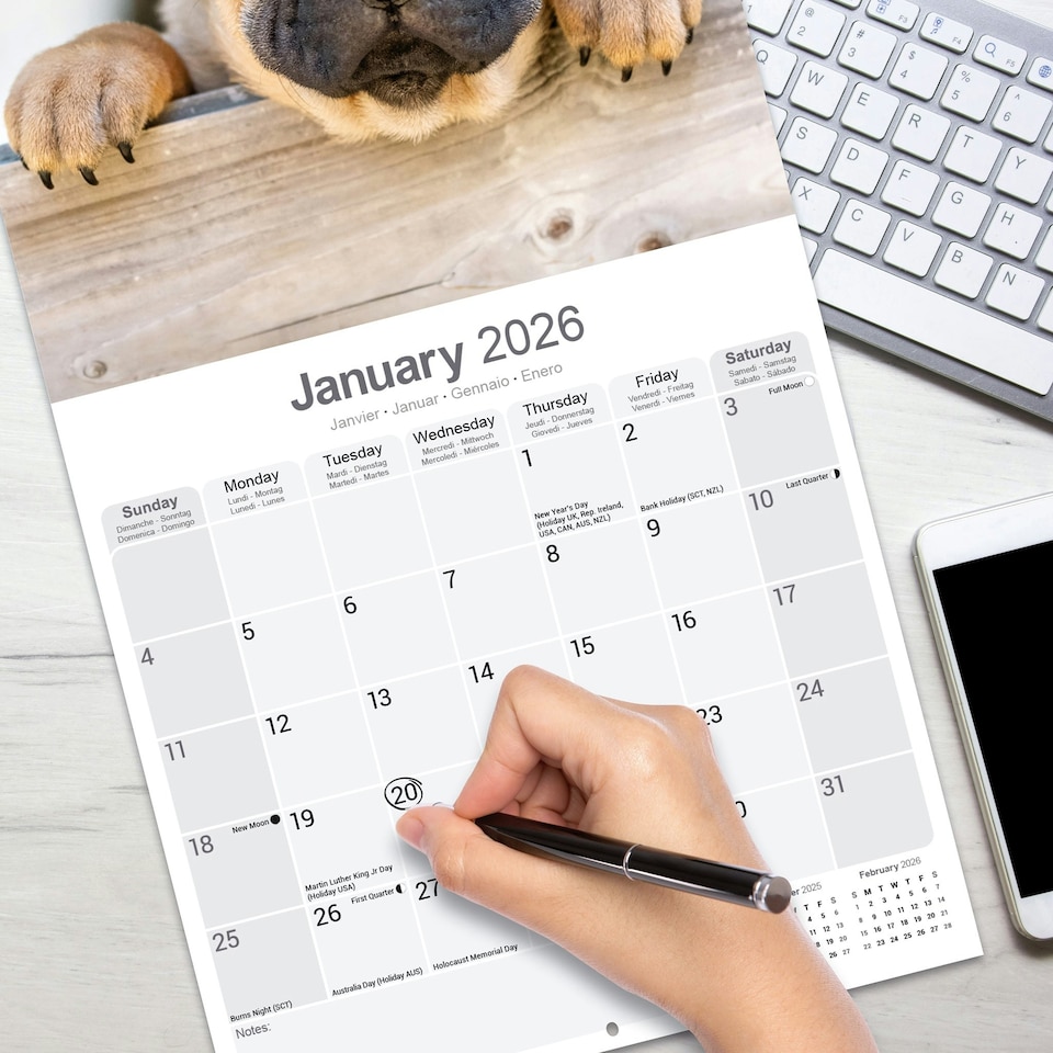 image 1 of Shar Pei 2026 Calendar | Square Wall Calendar | Dog Breed Gift | Plastic Free Packaging | by Avonside Publishing