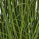 image 3 of Large Allium Plant in Pot - Plastic - L22 x W22 x H120 cm - White