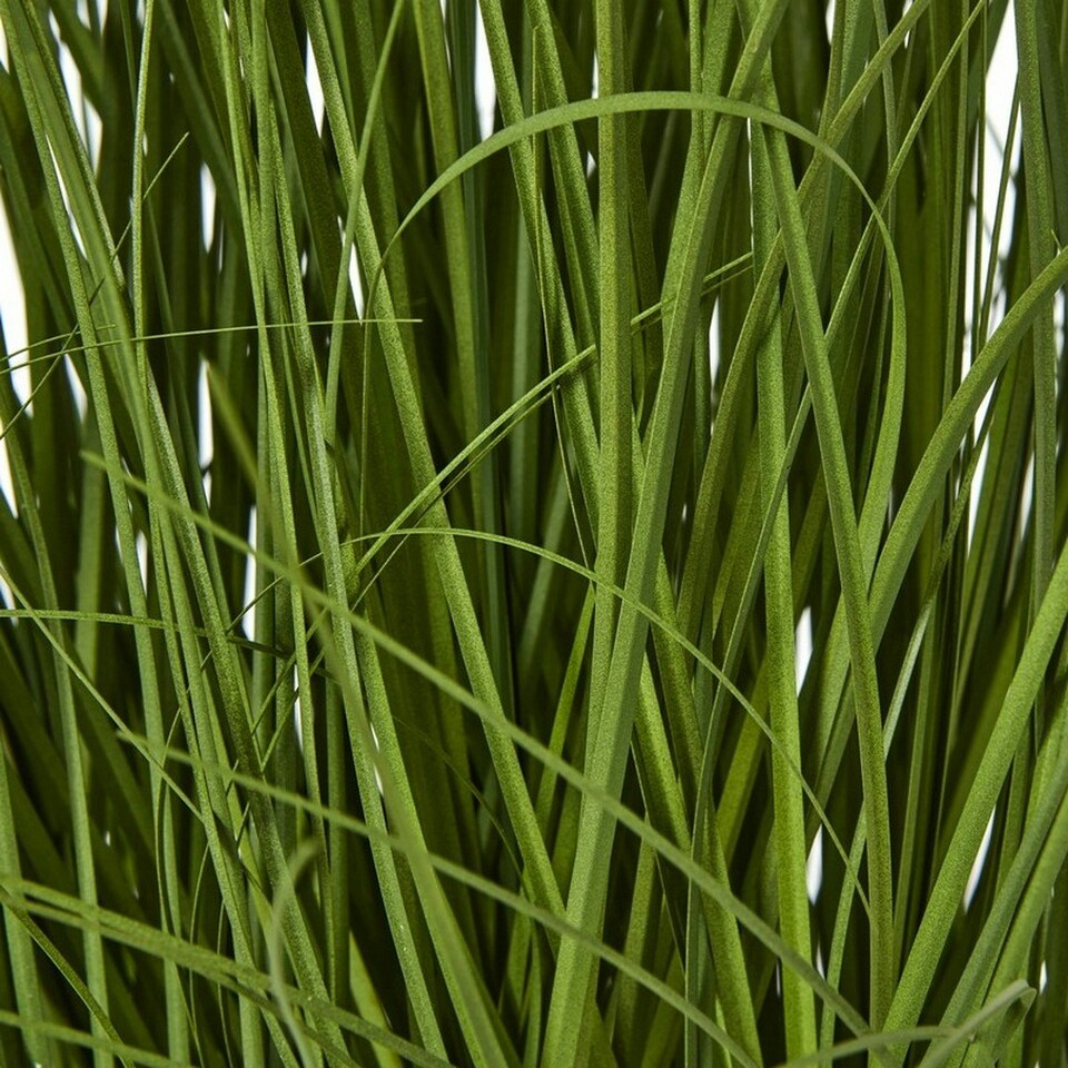 image 1 of Large Allium Plant in Pot - Plastic - L22 x W22 x H120 cm - White