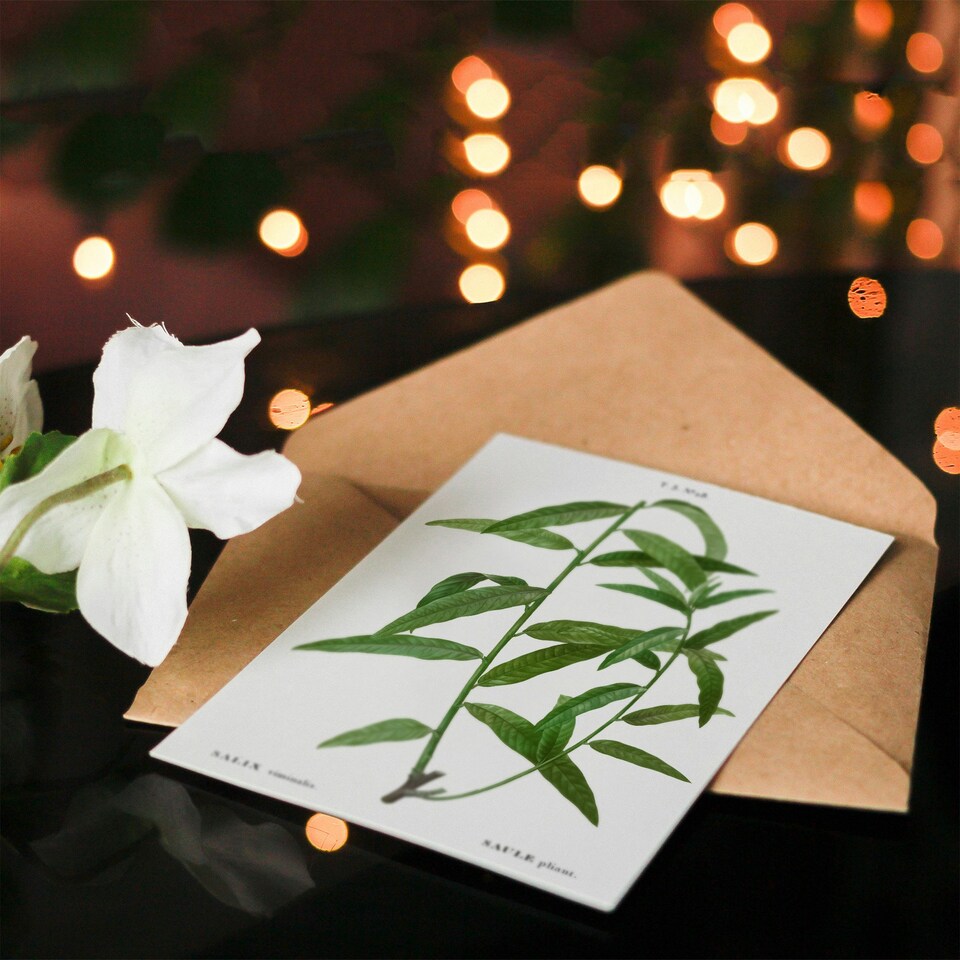 image 1 of Pierre-Joseph Redouté Art Card Basket Willow Vintage Botanical