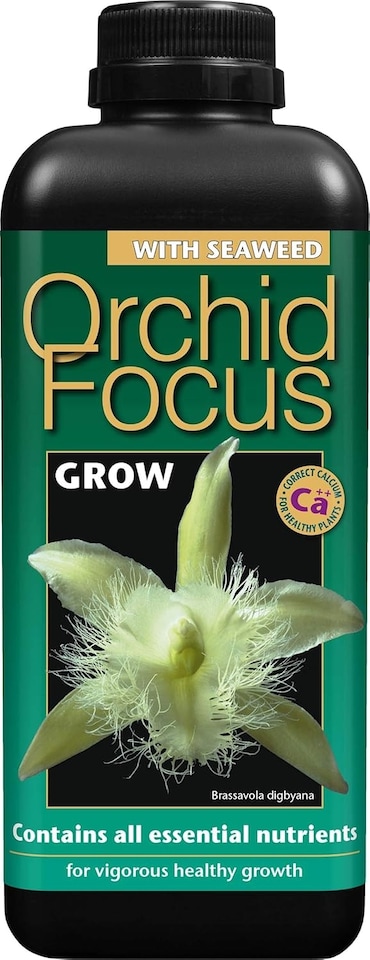 image 1 of Growth Technology Orchid Focus Grow