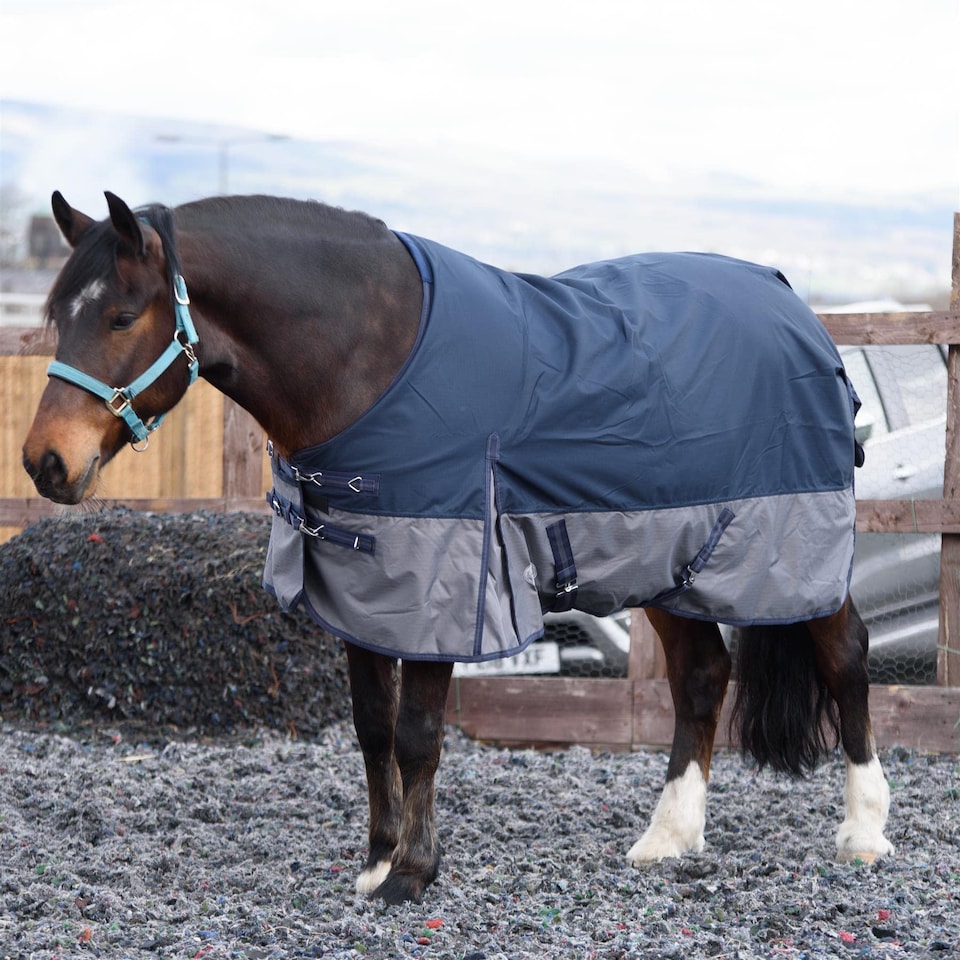 image 1 of eQuitack 600D Waterproof Horse Turnout Rug 0g No Fill Regular Neck Navy/Grey 5'6''