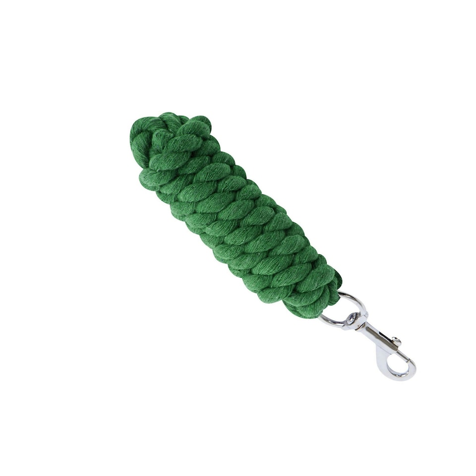 image 1 of Roma Twisted Horse Lead - Green - 2m