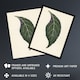 image 2 of Vintage Botanical Nerve Plant Leaf Fawcett Framed Wall Art Print 12X16"