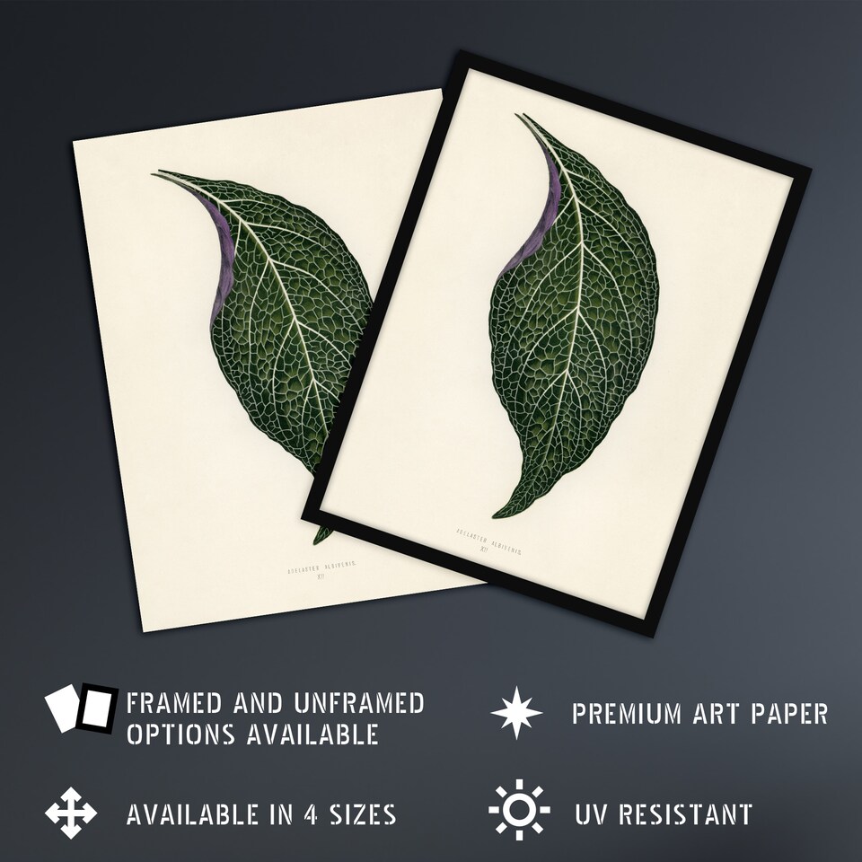 image 1 of Vintage Botanical Nerve Plant Leaf Fawcett Framed Wall Art Print 12X16"