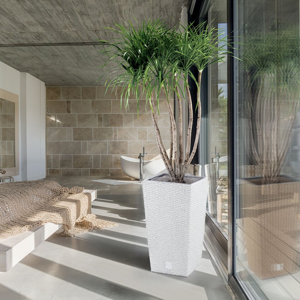 image 1 of RATO Large Square Flower Pot - 50x26x26cm | White | White & Set of 2 | 2