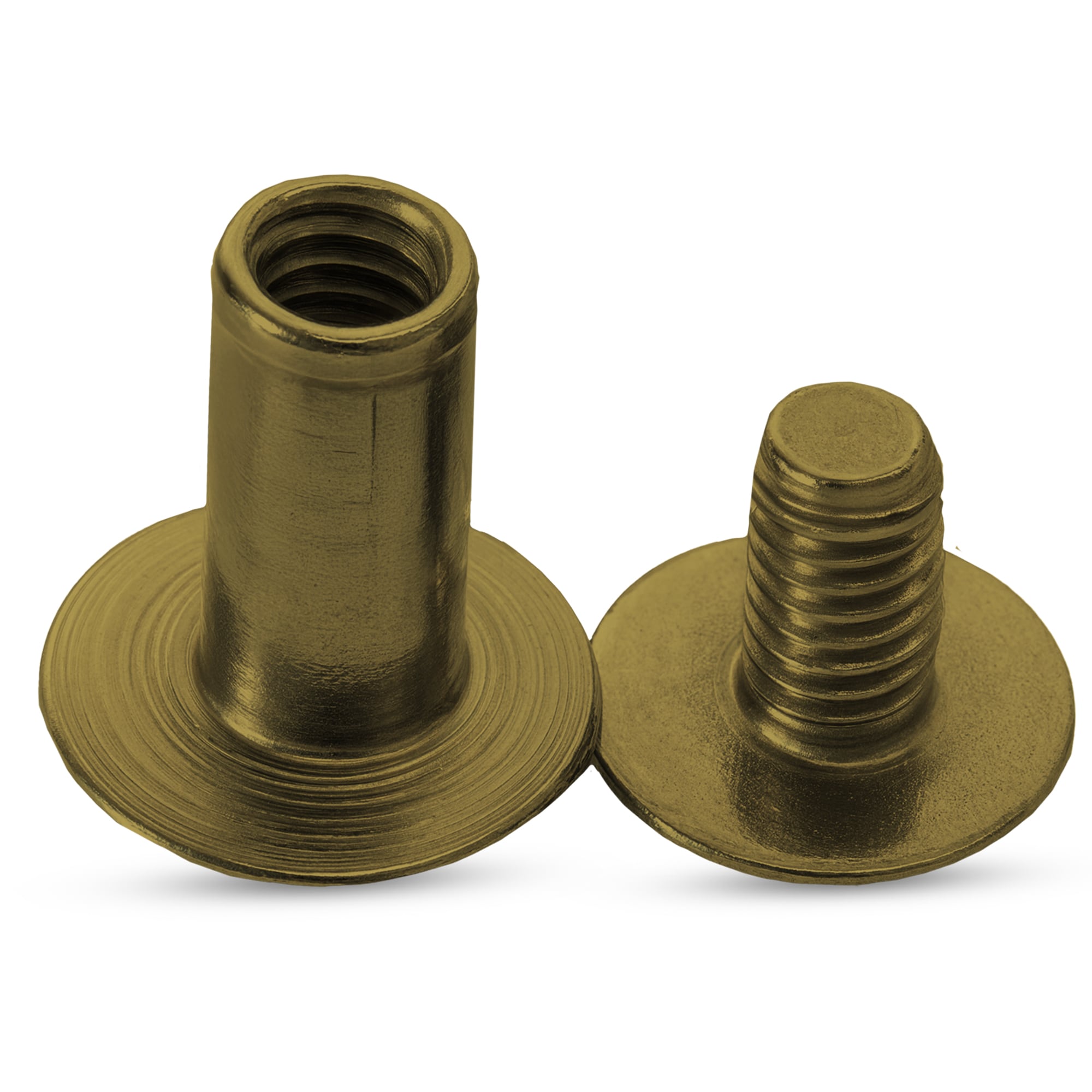 Neel Blue Chicago Screw Rivet Flat Head, Anti-Resistant Durable - 9x20mm, 10pcs in Bronze