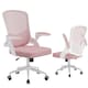 image 1 of Rattantree Ergonomic Office Desk Chair Mid-Back Mesh Computer Chair
