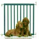 image 1 of Bettacare Chunky Wooden Screw Fit Dog Gate, 63.5cm - 105.5cm, Azure Blue, Wooden Dog Gate Gate, Screw Fit Pet Stair Gate