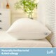 image 3 of Luff Luxury Bamboo Pillow White