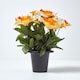 image 8 of Homescapes Set of 2 Yellow & Orange Narcissus & Daisy Artificial Flowers in Grave Vases