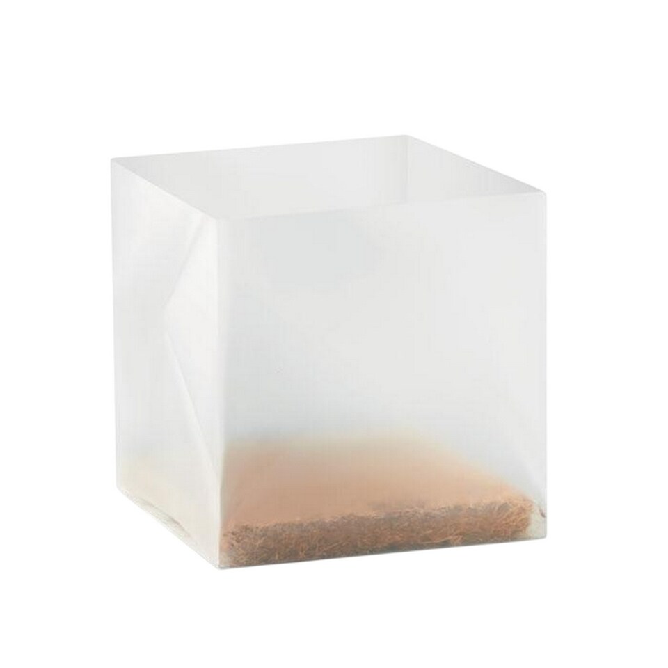 image 1 of MidOcean Parsely Seeds | Brown | Beige | One Size | 1