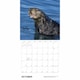 image 4 of Sea Otters Calendar 2026