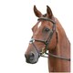 image 1 of Salisbury Brackley Leather Horse Bridle - Black - Pony