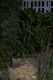 image 2 of Luma LED Outdoor Pedestal Light Dark Grey IP65 3000K